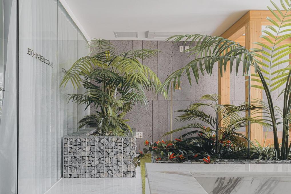 Hotel Acc Design 3*